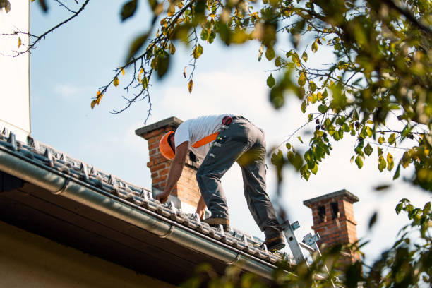 Best Commercial Roofing Services  in Farmers Loop, AK