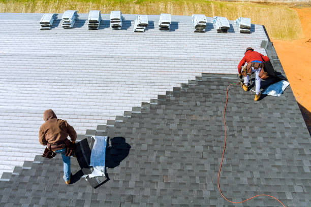 Best Roof Gutter Cleaning  in Farmers Loop, AK