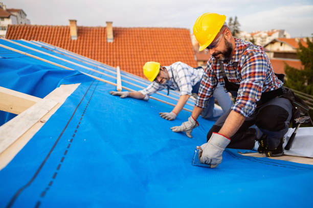 Best Roof Maintenance Services  in Farmers Loop, AK