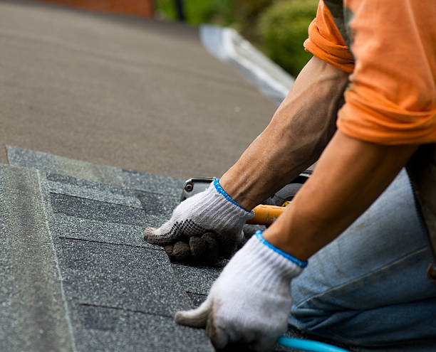 Best Storm Damage Roof Repair  in Farmers Loop, AK