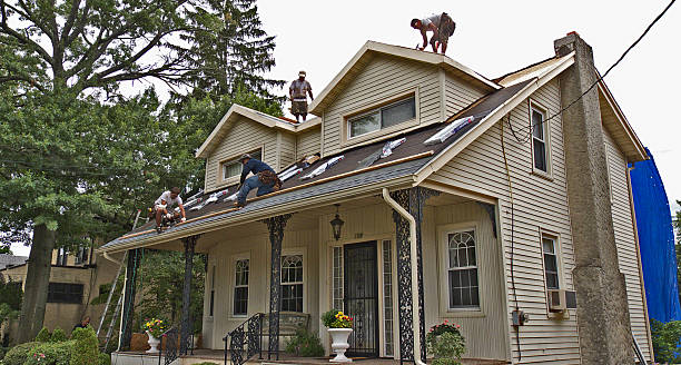 Roof Gutter Cleaning in Farmers Loop, AK
