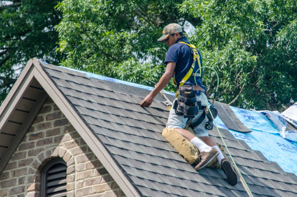 Best Roof Leak Repair  in Farmers Loop, AK