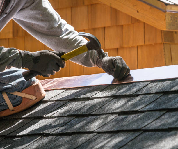 Best Roof Gutter Cleaning  in Farmers Loop, AK